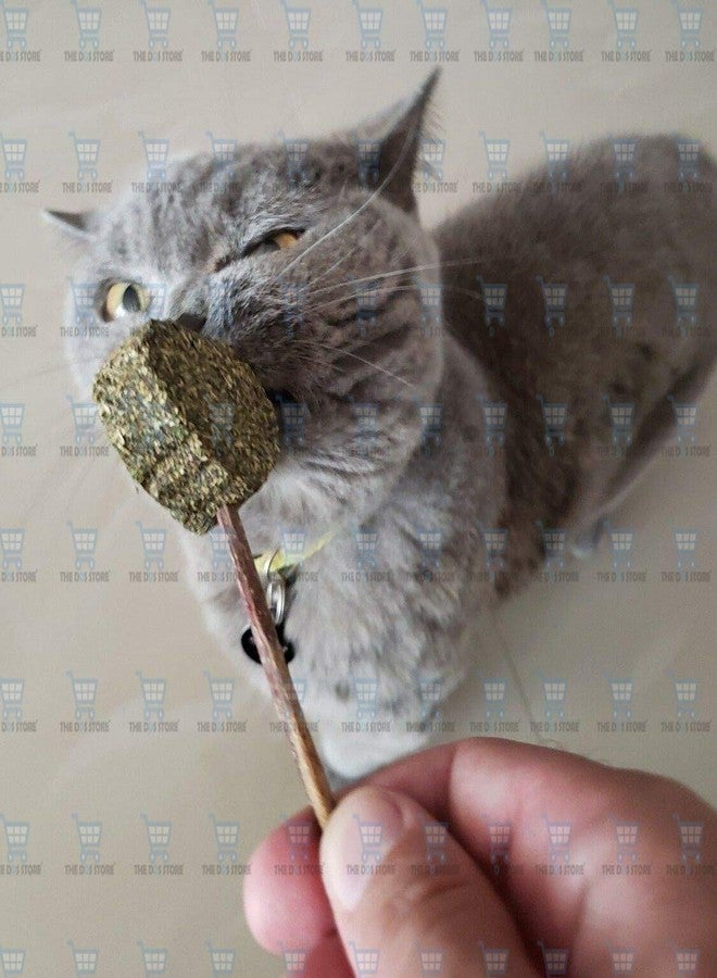 The DDS Store Catnip Stick Teeth Cleaning Chew Toy 1 Piece - Image 4